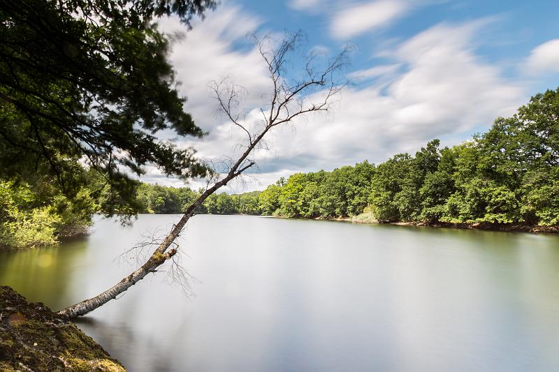 2020_06_20_Panneciere (0003).jpg - Lac de Pannecière, vers Les Vouas (Juin 2020)